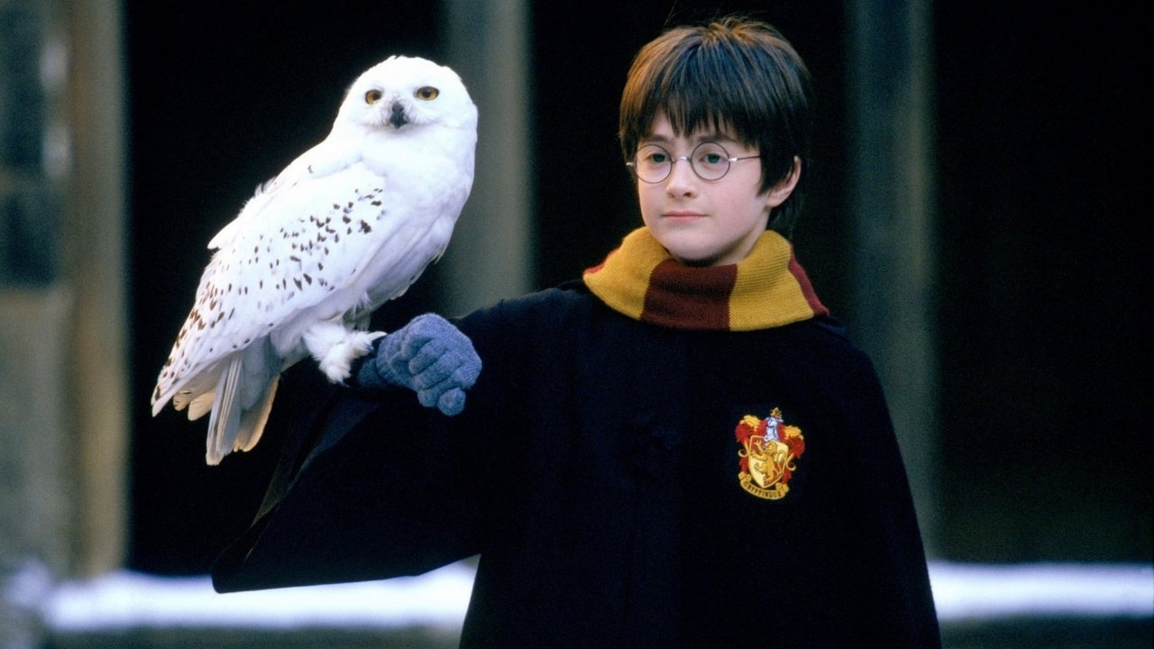 Daniel Radcliffe przyznał, że regularnie rozczarowuje fanów Harry'ego Pottera, źródło grafiki: Harry Potter i Kamień Filozoficzny; reż. Chris Columbus; Warner Cinema; 2001.