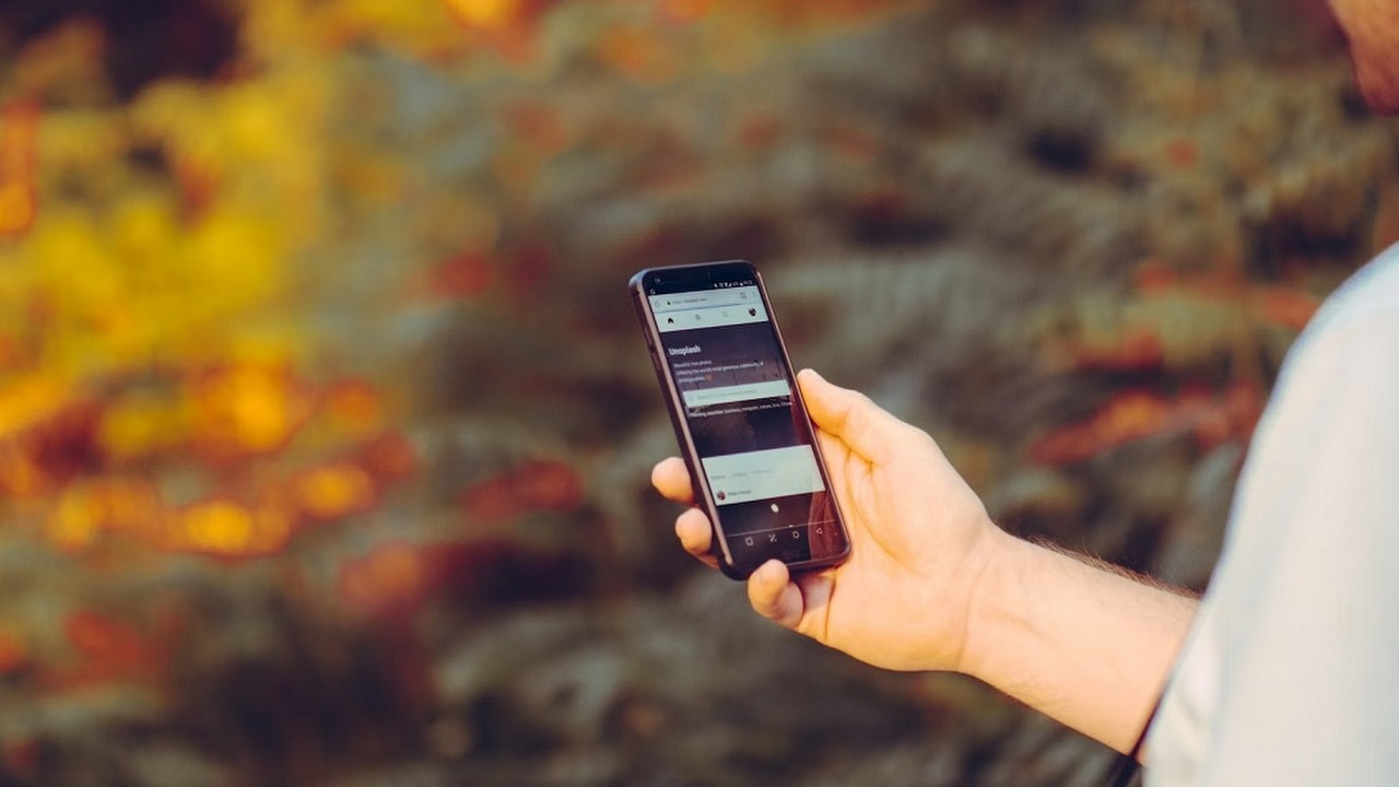 Android System WebView - co to jest?, źródło grafiki: Jamie Street | Unsplash.