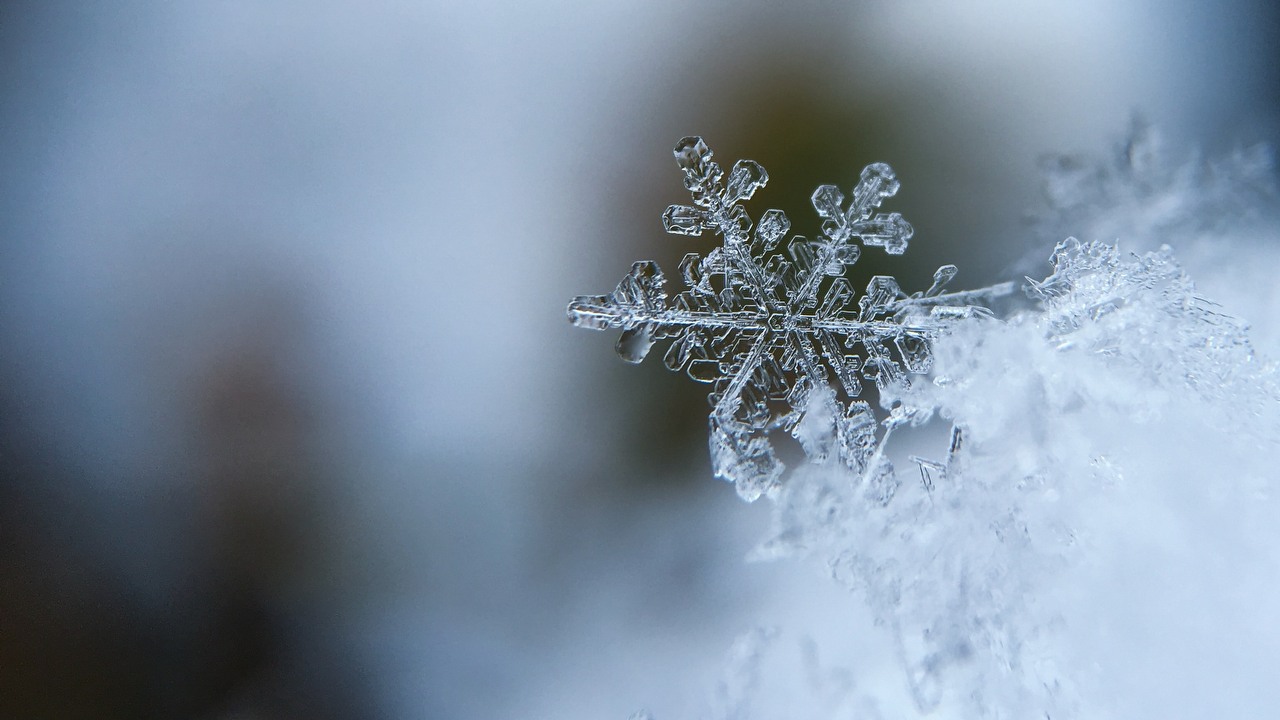 Rozchwiany wir polarny wywoła w Polsce mroźną zimę?, źródło grafiki: Unsplash | Aaron Burden.