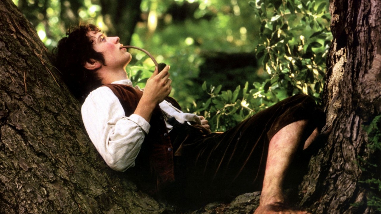 Autor, który pozwał Amazona i Tolkien Estate za kopiowanie jego fanfica Władcy Pierścieni, przegrał i jest im winien 134 tys. dolarów, źródło grafiki: Władca Pierścieni: Drużyna Pierścienia; reż. Peter Jackson; New Line Cinema; 2001.