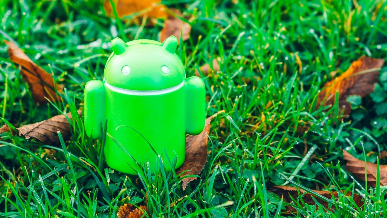 Wyciekła data premiery pierwszej wersji Androida 15 - Developer Preview już jutro?, źródło grafiki: Alexander London / Unsplash.