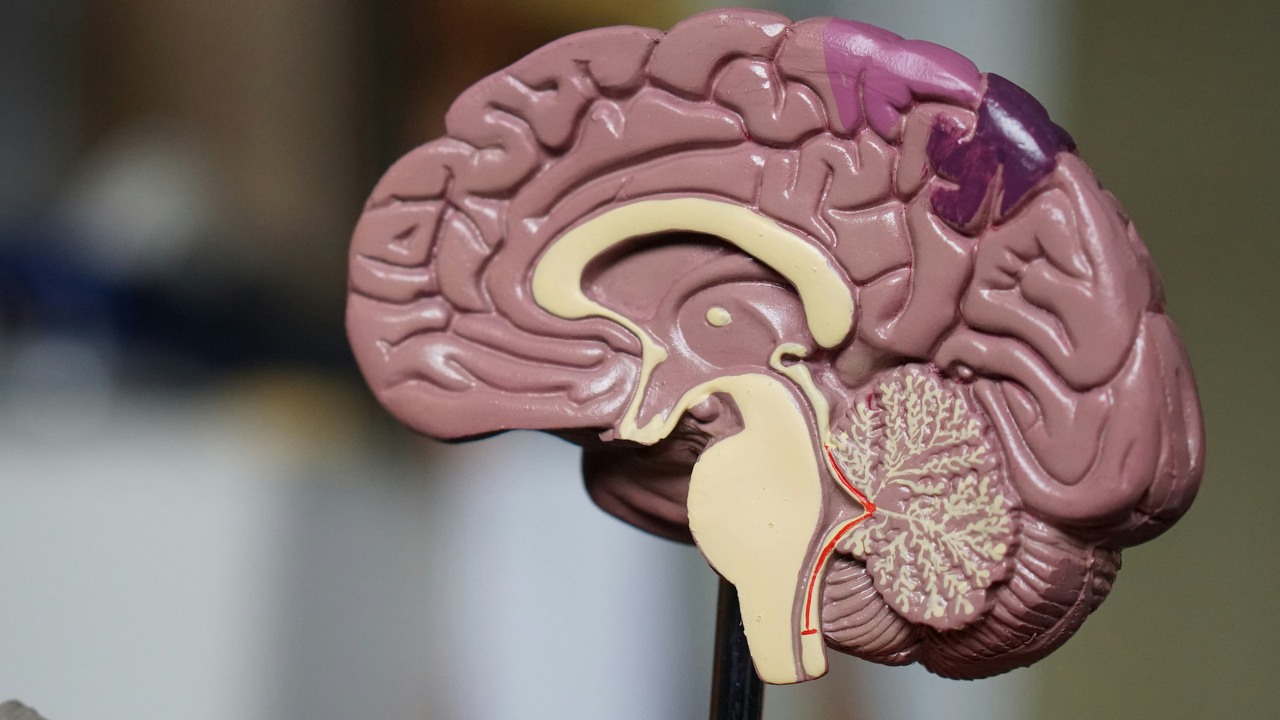 Elon Musk poinformował o przełomowym momencie dla Neuralink. Pierwszy pacjent może już kontrolować myszkę przy pomocy umysłu, źródło grafiki: Unsplash | Robina Weermeijer.