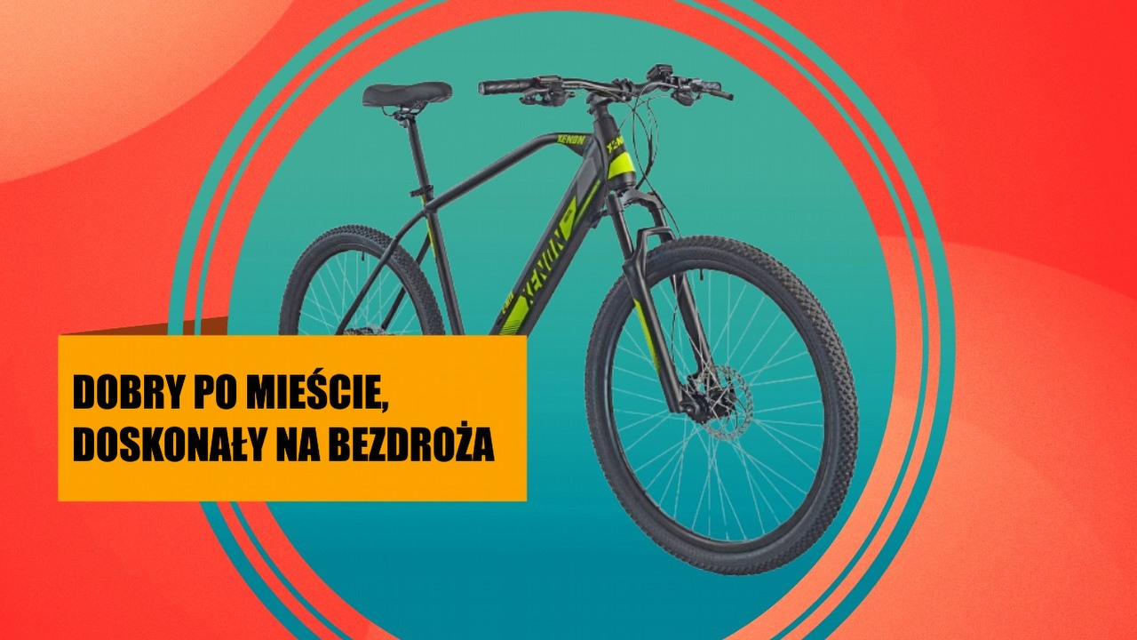 Możesz zadbać o środowisko, a przy okazji się nie przemęczać. Rower elektryczny w promocji, którą warto rozważyć, źródło grafiki: Esperia.