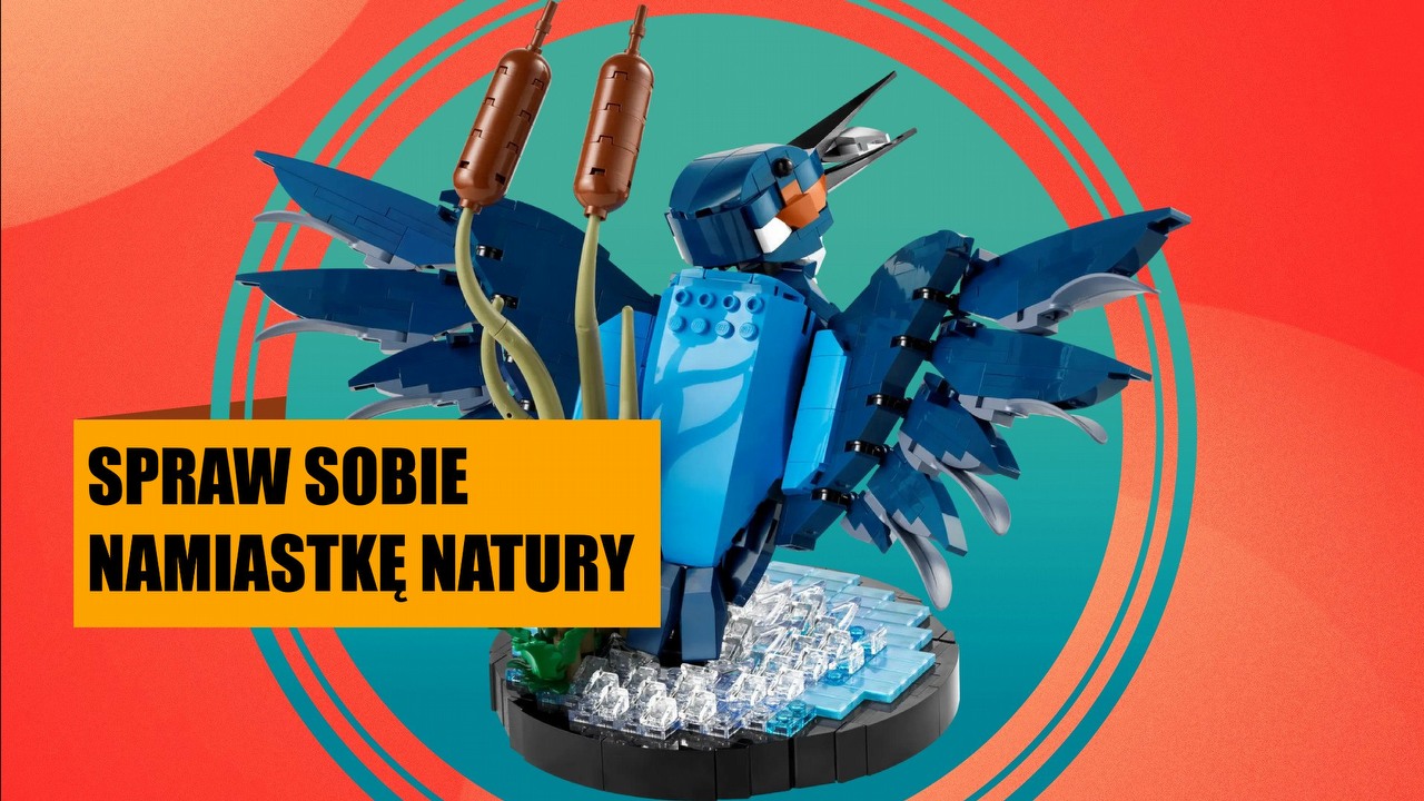 LEGO Zimorodek to wyjątkowy zestaw, który ożywi Twoje mieszkanie. Kupisz go w naprawdę świetnej cenie, źródło grafiki: LEGO.