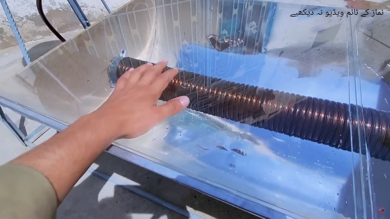 Wynalazca stworzył podgrzewacz solarny, który ma produkować 3000 litrów ciepłej wody bez użycia prądu, źródło grafiki: Desi Ideas & Creativity, YouTube.