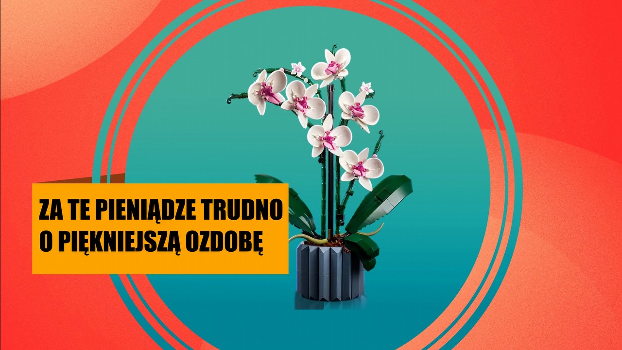 LEGO Orchidea to zestaw, który oczaruje Was nie tylko wyglądem, ale też ceną. To idealna ozdoba dla osób, które potrafią uśmiercić każdą żywą roślinkę, źródło grafiki: LEGO.