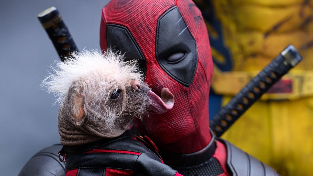 Czy Deadpool i Wolverine jest odpowiedni dla dzieci? Kategoria wiekowa nowego filmu Marvela, źródło grafiki: Deadpool i Wolverine, Shawn Levy, Marvel, 2024.