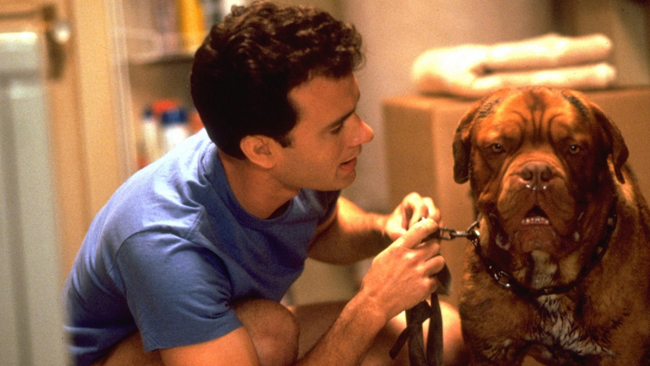 „Z psem się zaprzyjaźniłem, z gwiazdą nie”. 35 lat temu ponoć doszło do nieporozumienia między Tomem Hanksem a reżyserem komedii, źródło grafiki: Turner & Hooch, Roger Spottiswoode, Warner Bros., 1989.