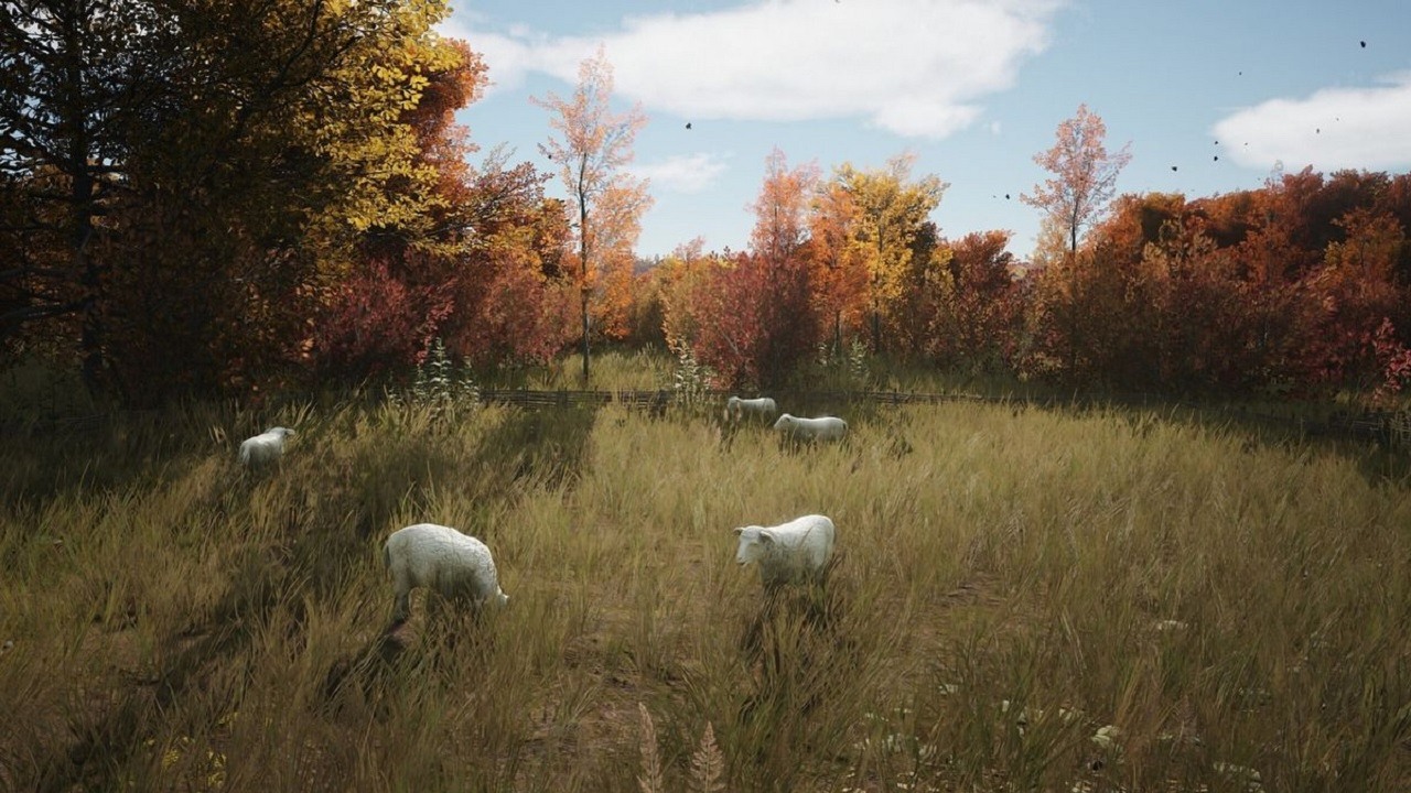 Jadalne owce w Manor Lords, nowa marka twórców God of War, wymagania sprzętowe Star Wars: Outlaws - FLESZ tvgry, źródło grafiki: Slavic Magic / Hooded Horse..