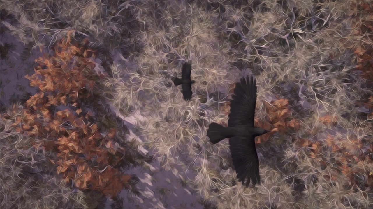 Współtwórca Assassin’s Creed łączy siły z autorem powieści ze świata Warhammera. Efekt to prześliczne Tales from the Mabinogion, inspirowane mitami Walii i malarstwem Van Gogha i Moneta, źródło grafiki: store.steampowered.com.