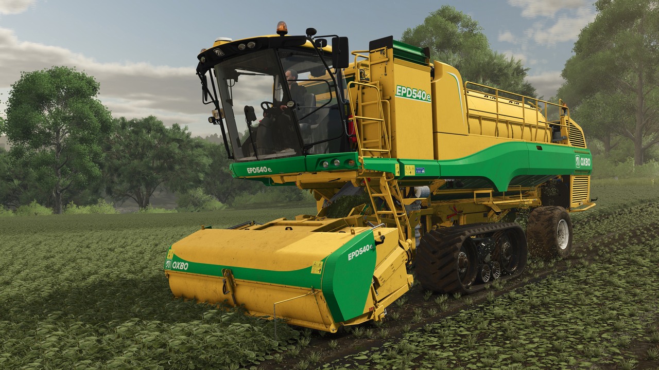 Farming Simulator 25 w gazie. Twórcy ogłaszają kolejne uprawy, źródło grafiki: Giants Software.