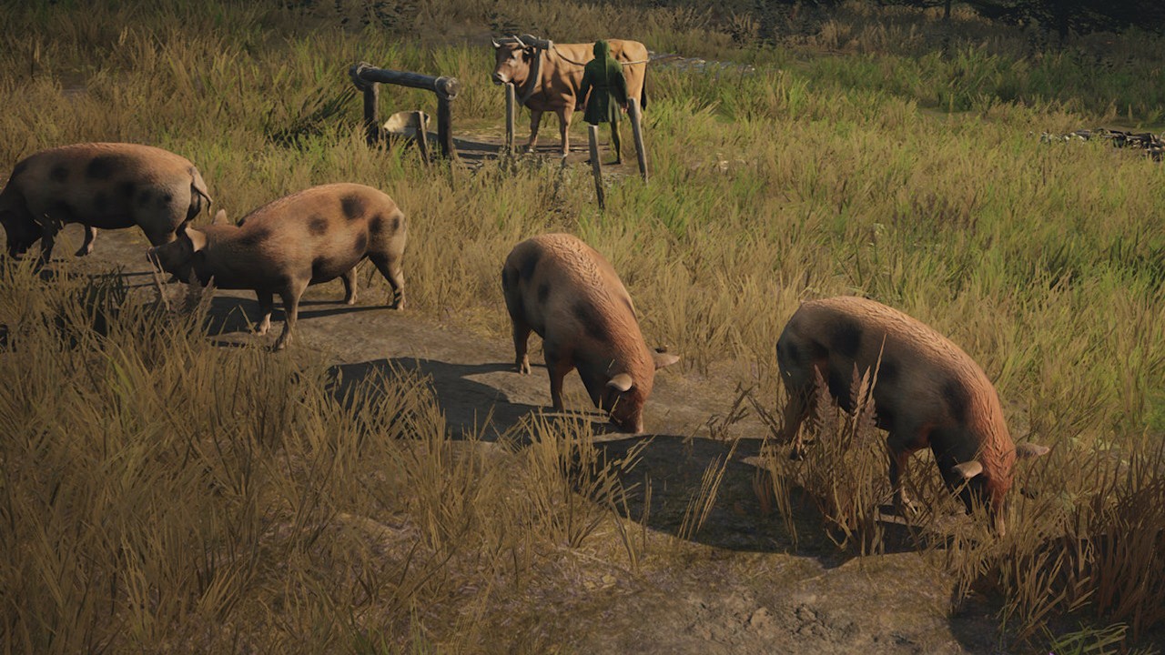 Świnie w Manor Lords wreszcie swojsko chrumkają. Grzegorz Styczeń i spółka mają trudności w zdiagnozowaniu problemów z UE5, źródło grafiki: Slavic Magic.