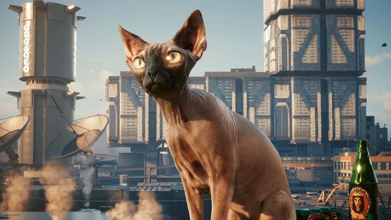 Jeśli kot i iguana z Cyberpunka 2077 skradły Wasze serca, sequel powinien dać Wam jeszcze więcej „zwierzęcej” radości, źródło grafiki: CD Projekt Red.