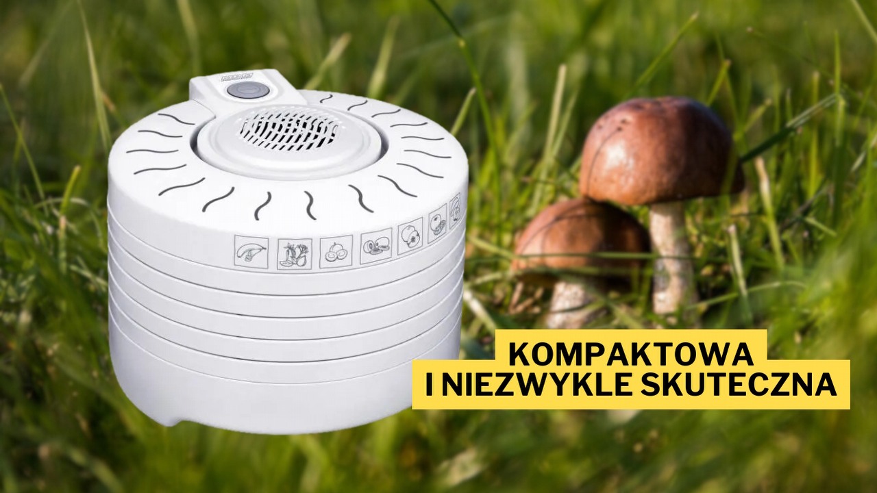 Wysuszy lepiej niż żarty wujka przy wigilijnym stole. Suszarka do grzybów w świetnej cenie pozwoli Wam przygotować zapasy na resztę roku, źródło grafiki: MPM; Pixabay.