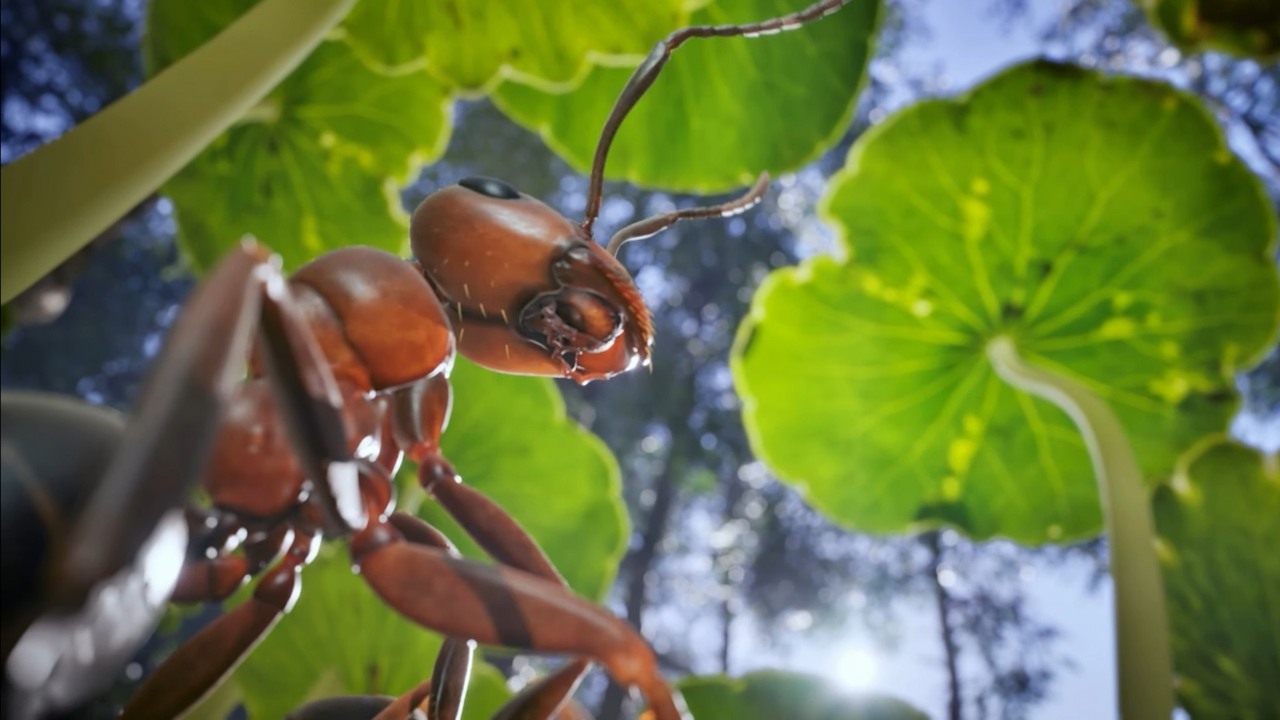 PS5 Pro będzie lepsze niż PS4 Pro w momencie premiery; twierdzi deweloper, źródło grafiki: Microids | YouTube.