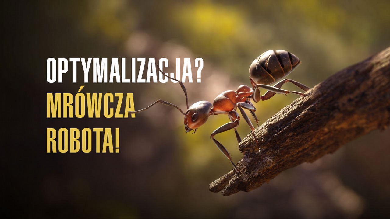 Optymalizacja, że mrówka nie siada. Recenzja techniczna Empire of the Ants.