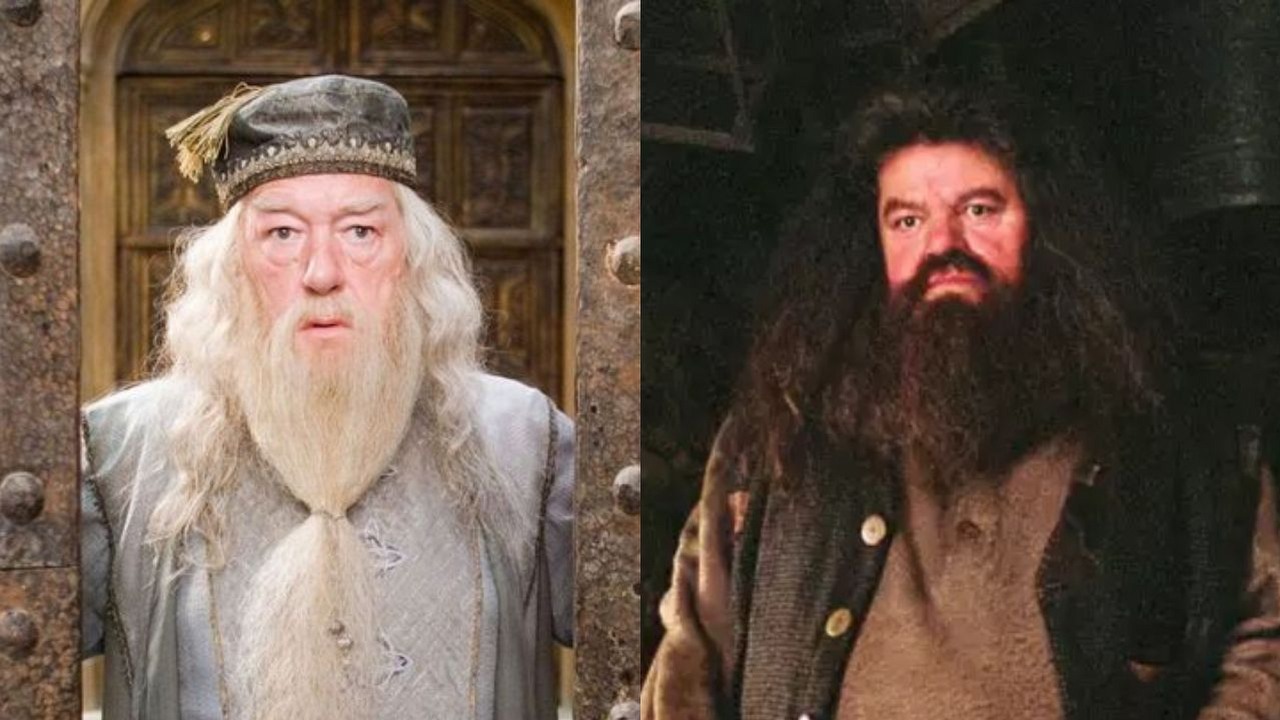 O rolę Dumbledore’a w nowym Harrym Potterze powalczy aktor z serialowej Diuny, gwiazda Teda Lasso może wcielić się w Hagrida, źródło grafiki: Harry Potter i Zakon Fenikasa, David Yates, Warner Bros., 2007 / Więzień Azkabanu, Alfonso Cuarón, Warner Bros., 2004.