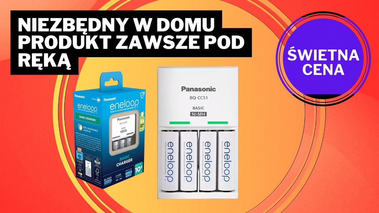 Nawet kilkaset złotych rocznie! To rozwiązanie pomogło mi zaoszczędzić fortunę na bateriach do kontrolera XBOX, źródło grafiki: Panasonic.