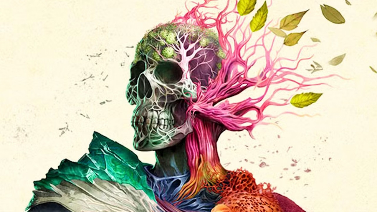 Mocny debiut Avowed na Steamie. Gracze płacący za wcześniejszy dostęp chwalą nowe RPG studia Obsidian, źródło grafiki: Microsoft.