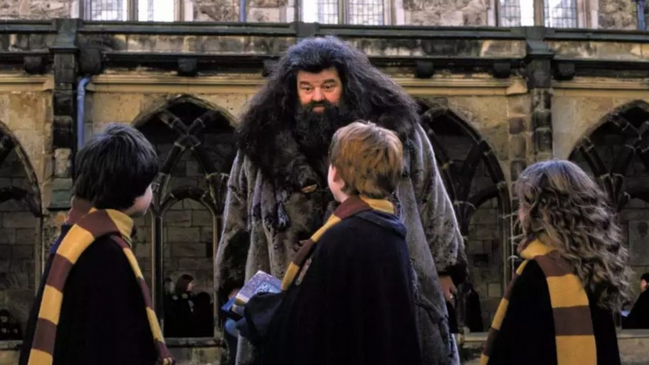 Serialowy Harry Potter znalazł swojego Hagrida. Nick Frost finalizuje umowę na występ w serii fantasy HBO, źródło grafiki: Harry Potter i Komnata Tajemnic, Chris Columbus, Warner Bros., 2002.