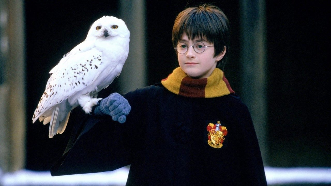 Obsada serialu Harry Potter ujawniona. Wiadomo, kto wcieli się w profesorów Hogwartu w nowej produkcji fantasy HBO, źródło grafiki: Harry Potter i Kamień Filozoficzny, Chris Columbus, Warner Bros., 2001.