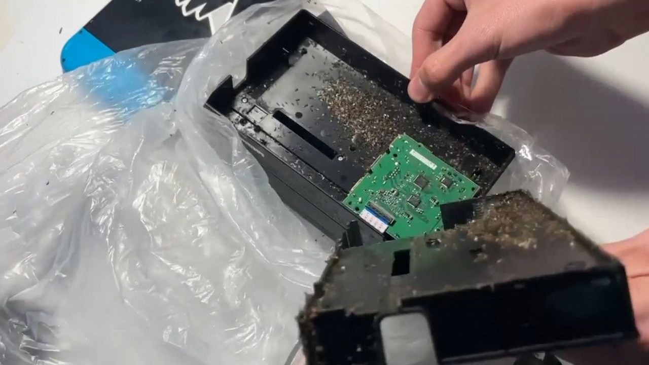 Gracz zmierzył się z obrzydliwym i niebezpiecznym problemem. Mrówki zawładnęły jego stacją dokującą do Switcha, źródło grafiki: Reddit/Nobiting.