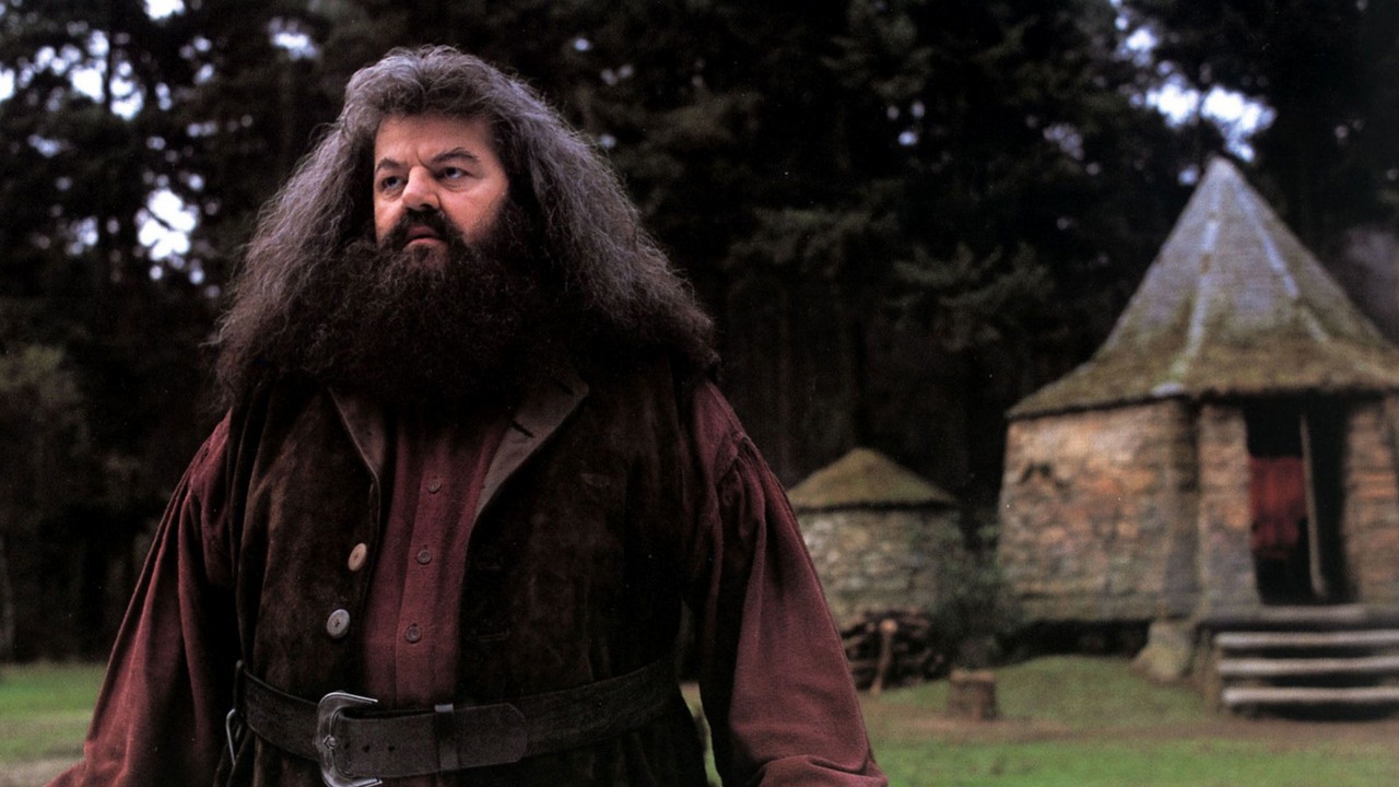 Kostium Hagrida z serialu Harry Potter zrobił wrażenie na fanach HP. Pojawiły się również wieści o 2. sezonie produkcji HBO Max, źródło grafiki: Harry Potter i Kamień filozoficzny, Chris Columbus, Warner Bros. Pictures, 2001.