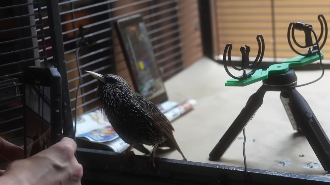 Pasjonat konwertuje PNG na dźwięk przy pomocy młodego szpaka, źródło grafiki: Źródło: YouTube: Benn Jordan; 2025.