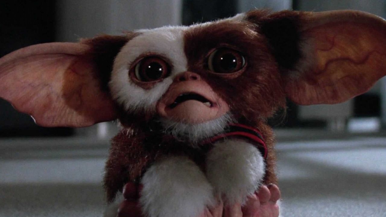 Gremliny 3 nadchodzą i mają datę premiery. Chris Columbus i Steven Spielberg po 37 latach powrócą w nowej odsłonie kultowej serii, źródło grafiki: Gremliny rozrabiają, Joe Dante, Amblin Entertainment, 1984.