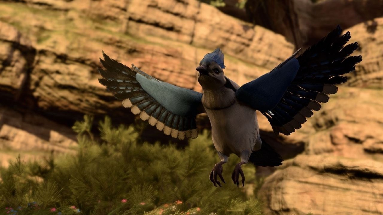 Gracze Baldur's Gate 3 czują się oszukani przez uroczego ptaszka. Mały quest mógł być mniej oczywisty niż im się wydawało, źródło grafiki: Larian Studios.