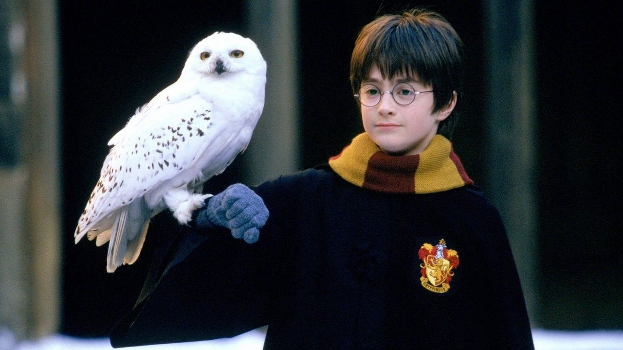 „To było szalone”. Gwiazda serialu Harry Potter wspomina moment, w którym otrzymała list od Daniela Radcliffe'a, źródło grafiki: Harry Potter i Kamień filozoficzny, Chris Columbus, Warner Bros. Pictures, 2001.