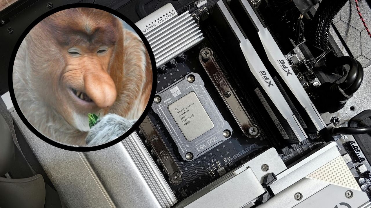 Gracz zamawia tani dysk SSD, sprzedawca anuluje zakup, aby dzień później sprzedać produkt za trzykrotnie wyższą cenę, źródło grafiki: Pexels..