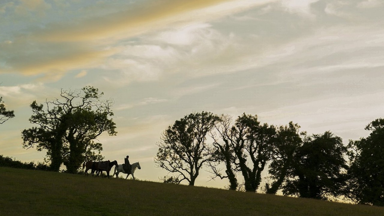 13 mln widzów co odcinek. Hit fantasy walczy o miejsce w top 3 serialowych debiutów w historii HBO Max, źródło grafiki: Rycerz siedmiu królestw, Ira Parker, HBO, 2026.