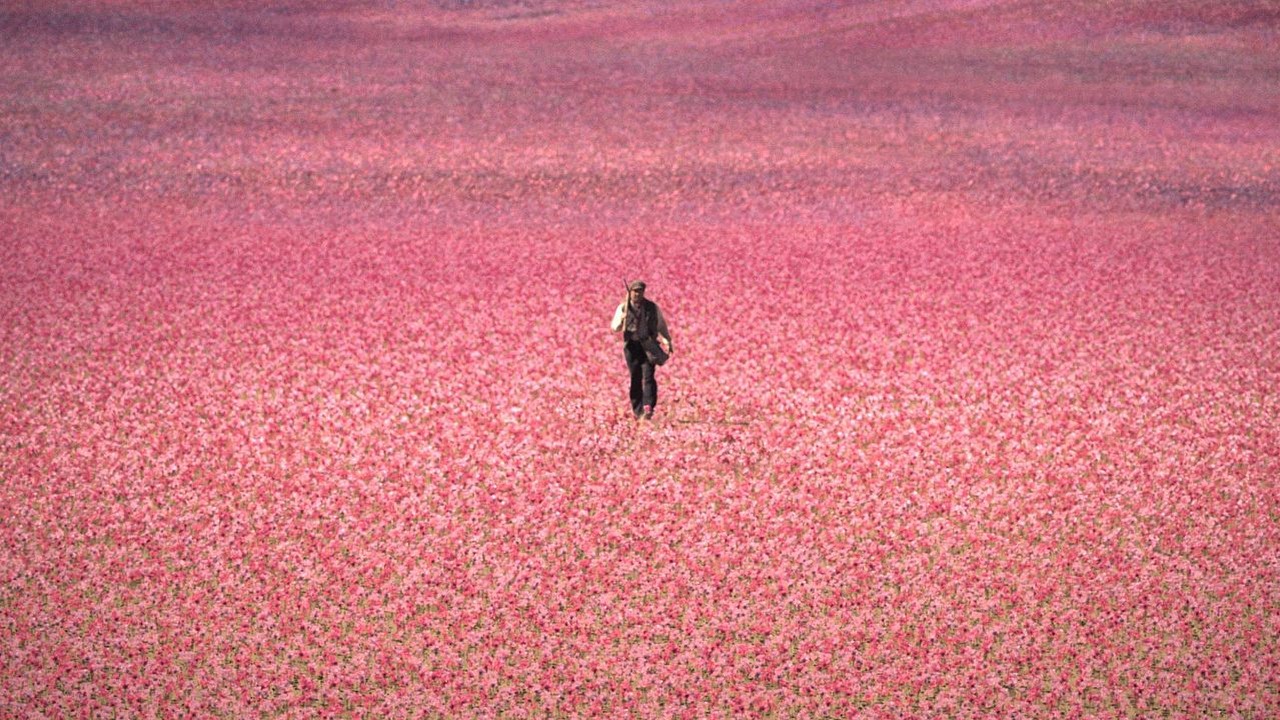 Dziś na Prime Video premiera adaptacji książki, która sprzedała się w milionach egzemplarzy i została przetłumaczona na 40 języków, źródło grafiki: The House of the Spirits, Francisca Alegría, Prime Video, 2026.