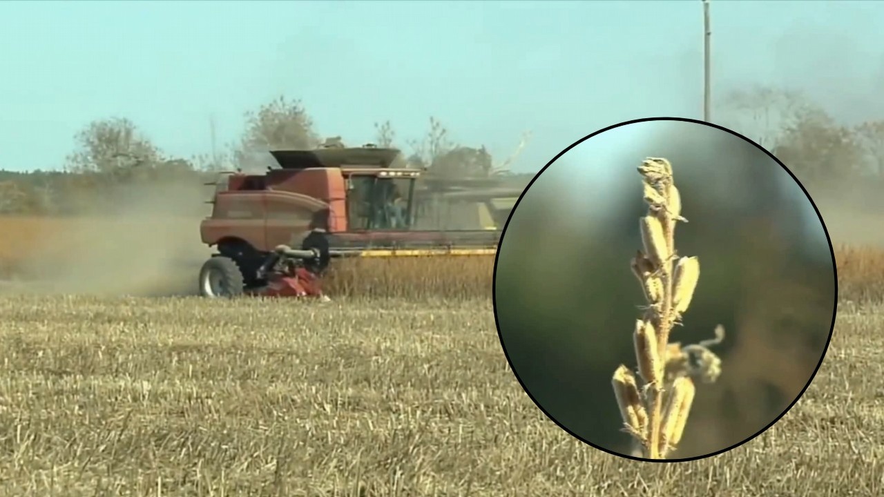 Rolnik ślepo zaufał sztucznej inteligencji i stracił wszystko przez halucynacje AI, źródło grafiki: YouTube: ShawnBots Farm; 2024.