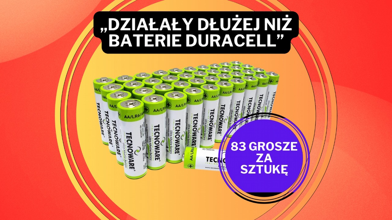 „Nie było nawet porównania”. Te tanie baterie zachwyciły kupujących, a Amazon sprzedaje 40 sztuk za 33 zł, źródło grafiki: Tecnoware Power Systems.