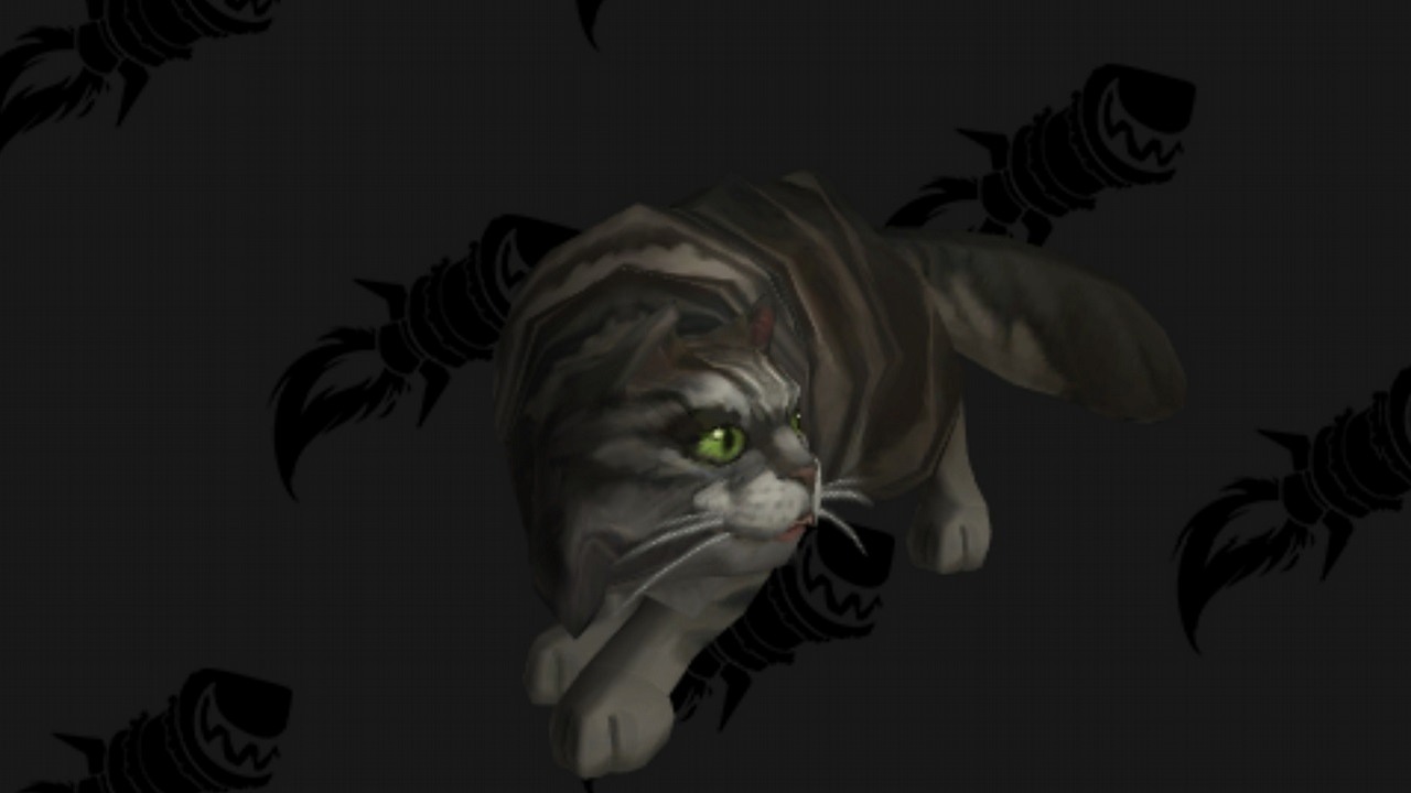 Gdzie jest Jenafur? Gracze WoWa od roku poszukują sekretnego kota.