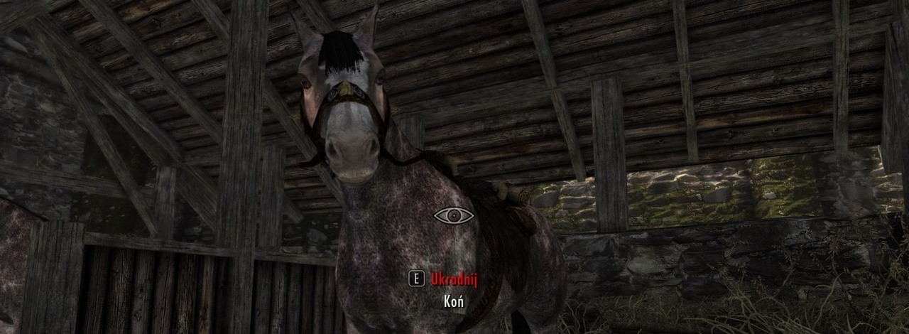 Masa fanów Skyrima właśnie dowiedziała się, że konie to konfidenci, źródło grafiki: The Elder's Scrolls V: Skyrim, Bethesda Game Studios, 2011.