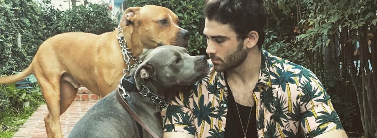 Hojność znanego streamera pomoże w adopcji psiaków ze schronisk, źródło grafiki: HasanAbi | Instagram.