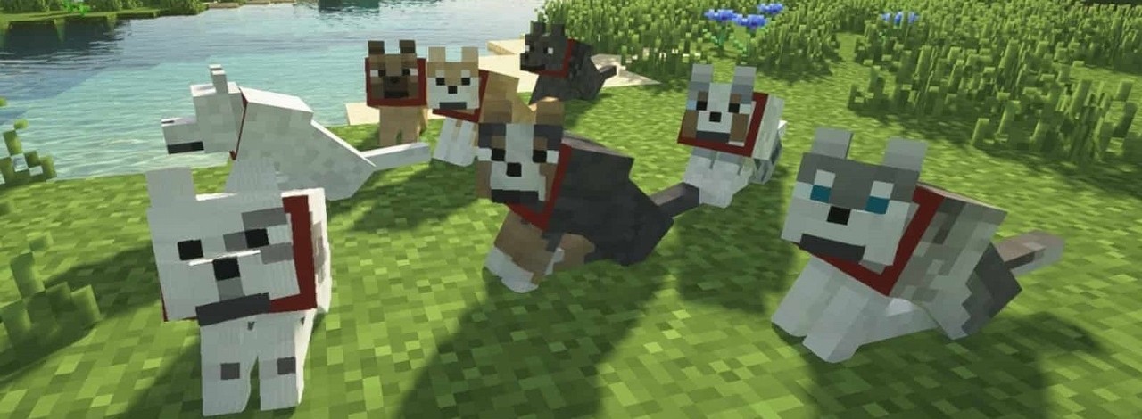 O tym detalu z Minecrafta wielu nie wiedziało, a może uratować Wasze pieski, źródło grafiki: Mojang.