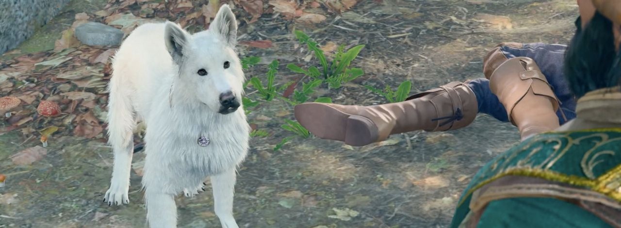 Drapek w BG3 jest bardziej przydatny niż myślicie. Większość graczy zapomina o tej umiejętności, źródło grafiki: YouTube/xGarbett.