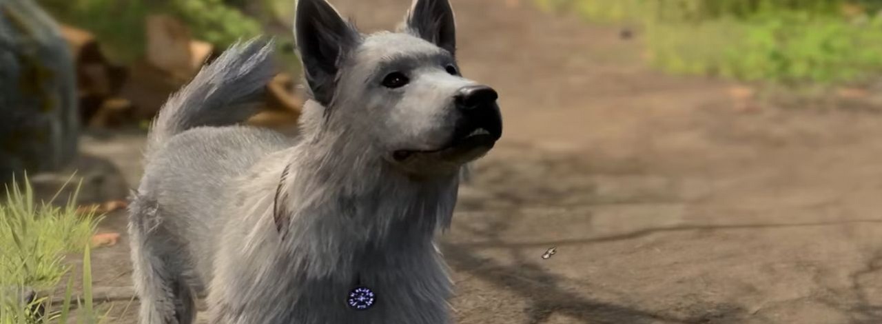 Gracze Baldur's Gate 3 chcieliby jeszcze jednego zwierzaka w obozie, a w grze jest już odpowiedni kandydat, źródło grafiki: Larian Studios.