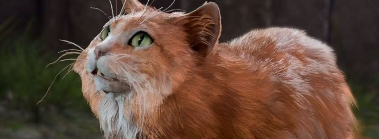 Tego questa w Baldur’s Gate 3 warto pominąć. Robiąc to odblokujecie innego, skupionego na kocich losach, źródło grafiki: Larian Studios.