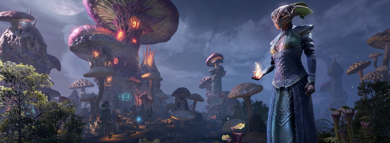 W ESO nadal nie wykorzystano sporej części świata The Elder Scrolls. Gracze mają już pomysły czym wypełnić luki na mapie, źródło grafiki: The Elder Scrolls Online; ZeniMax Online Studios; Bethesda Softworks; 2014.