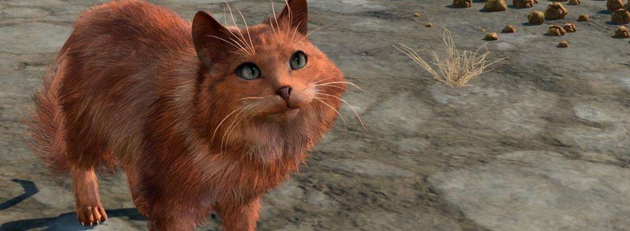 Baldur's Gate 3 da się przejść nawet jako kot i to bez żadnych modów. Największym przeciwnikiem są wówczas drzwi, źródło grafiki: Larian Studios.