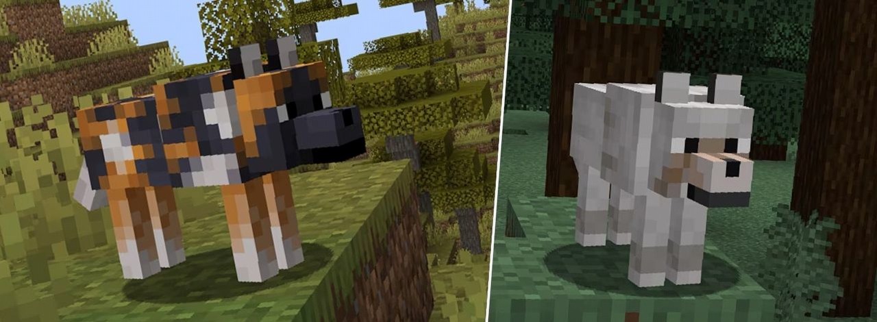 Fani futrzaków radujcie się. Do Minecrafta dodano całą masę nowych wilków, aby każdy znalazł dla siebie idealnego, źródło grafiki: Mojang Studios.