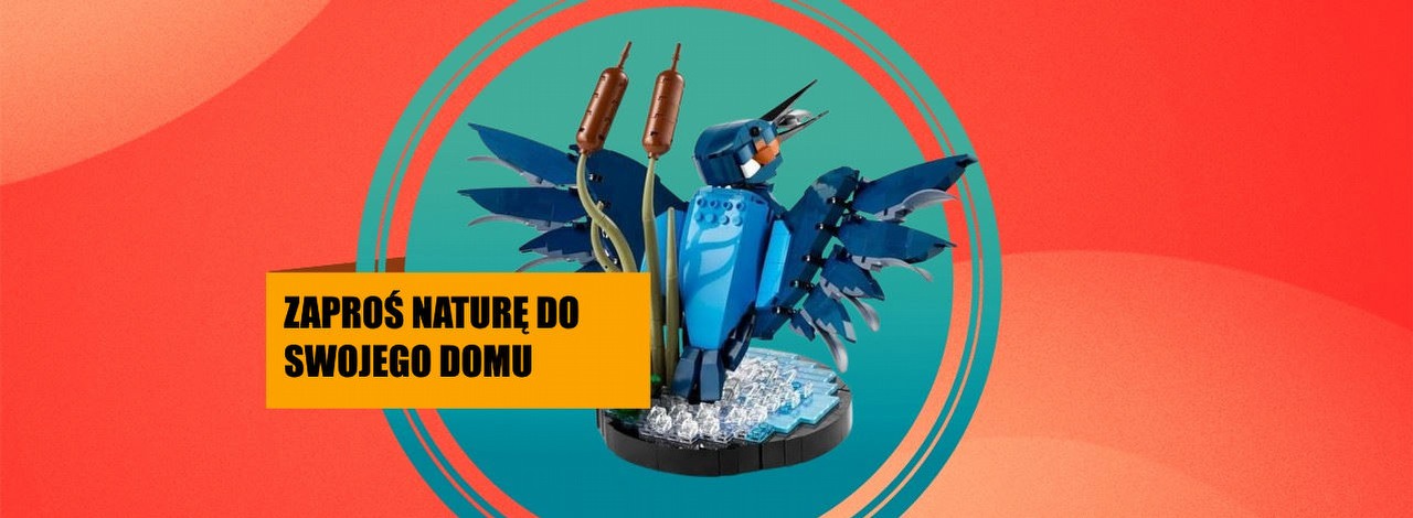 LEGO Zimorodek to zestaw, który sprawi, że zrobi Wam się cieplej na serduszku. Portfel też będzie zadowolony, źródło grafiki: LEGO.