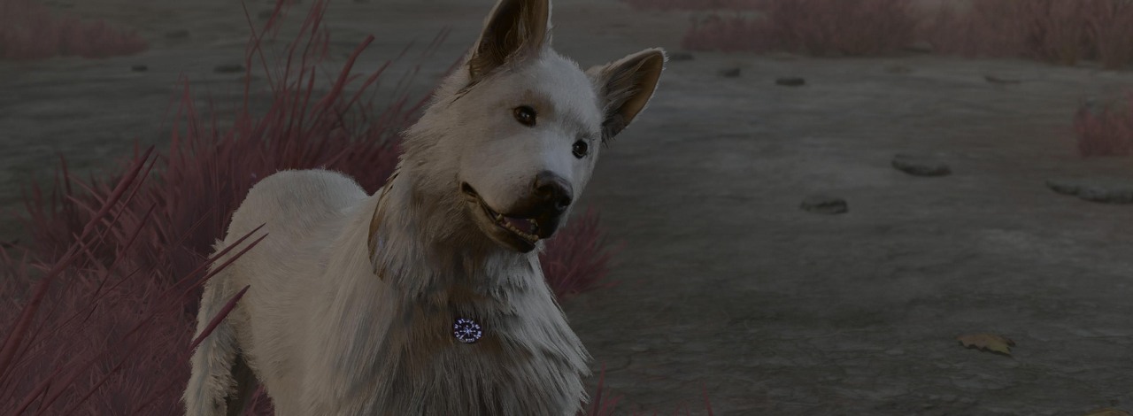 Pokochaliście Drapka w Baldur's Gate 3? Teraz możecie go wytresować, by był jeszcze lepszym towarzyszem, źródło grafiki: Larian Studios.