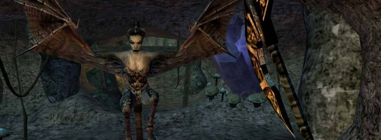 Według reżysera ESO, dziś prawie nikt nie grałby w grę w stylu Morrowinda. Wszystko przez brak ułatwień, źródło grafiki: Bethesda Game Studios.