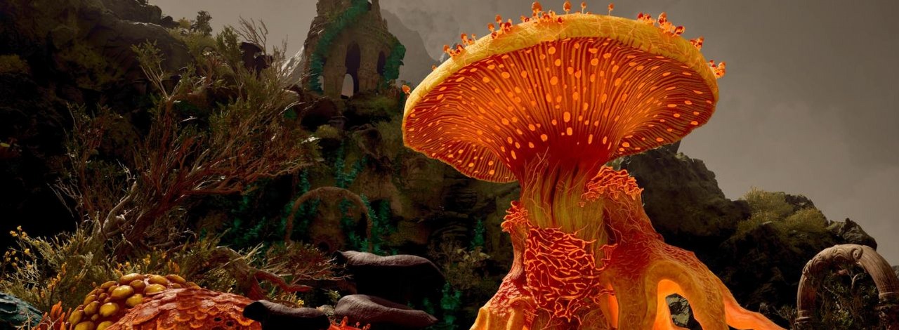 Graczom Avowed bardzo brakuje jednej opcji. Twórcy mogliby pójść drogą BG3 i innych RPG-ów, by pozwolić na zmienianie postaci, źródło grafiki: Obsidian Entertainment.